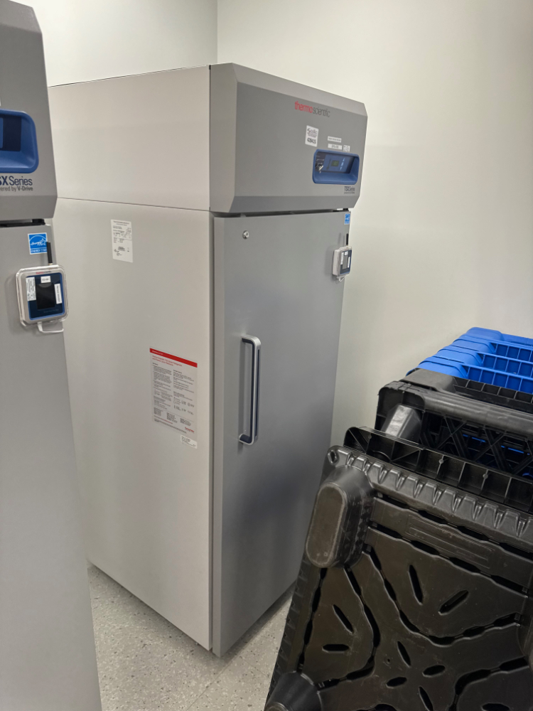 Image of Thermo TSX Series -20C Freezer